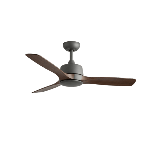 Ceiling Fans