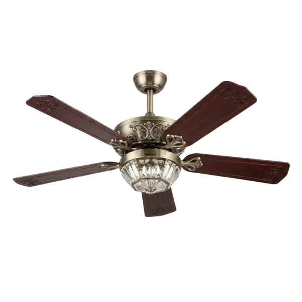 Decorative Fans